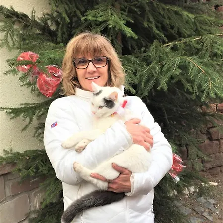 Casa de Férias De La Fontaine Wangen